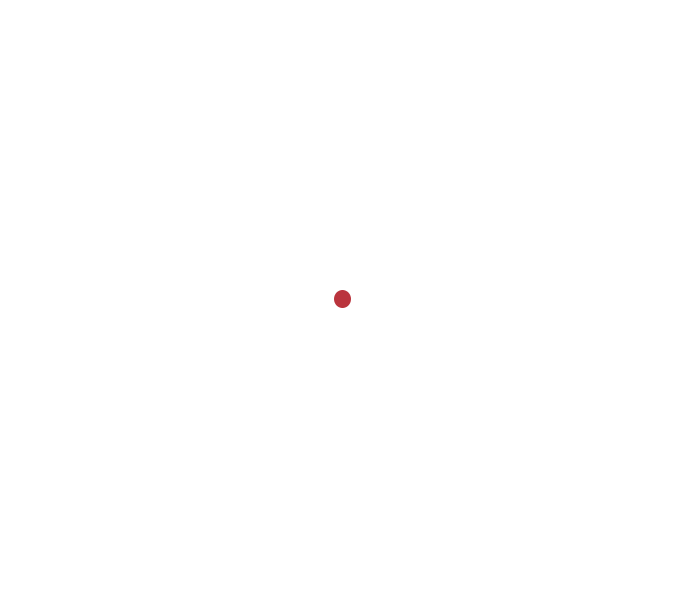 JSHD Waffenladen – Ihr Waffengeschäft für Jagd und Sport- Waffen in Heidelberg » HIKMICRO Falcon FH25